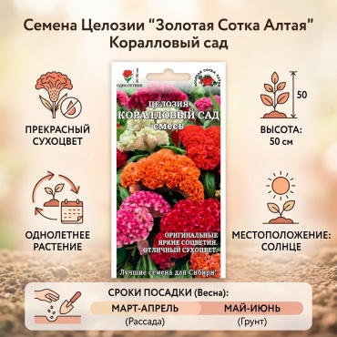 Золотая сотка Алтая целозия Целозия Коралловый сад