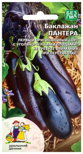 Уральский дачник баклажан «Пантера»