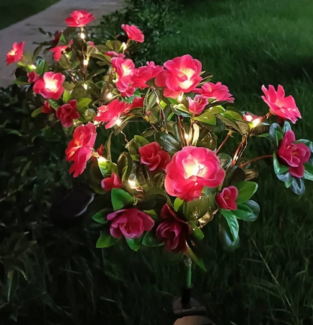 Фото 2