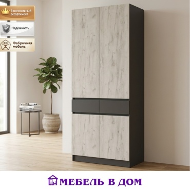 Распашной шкаф Мебель в Дом Роджина, 100x240х52 см, графит, светло серый