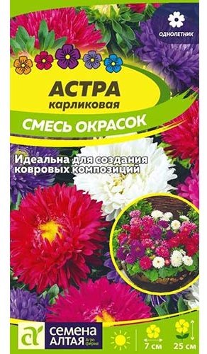 Семена Алтая астра Карликовая, смесь окрасок