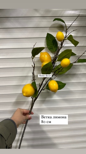 Лимон 80 см, 16491403_665281844