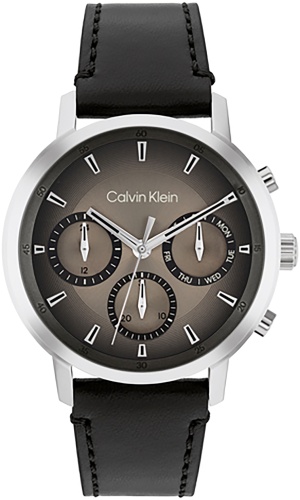 Кварцевые Calvin Klein 25200496 сталь