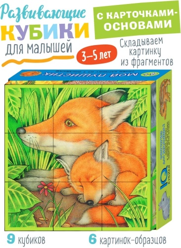 Набор LIMMPO KIDS IQ Кубики
