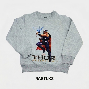 Свитшот Rasti.kz серый