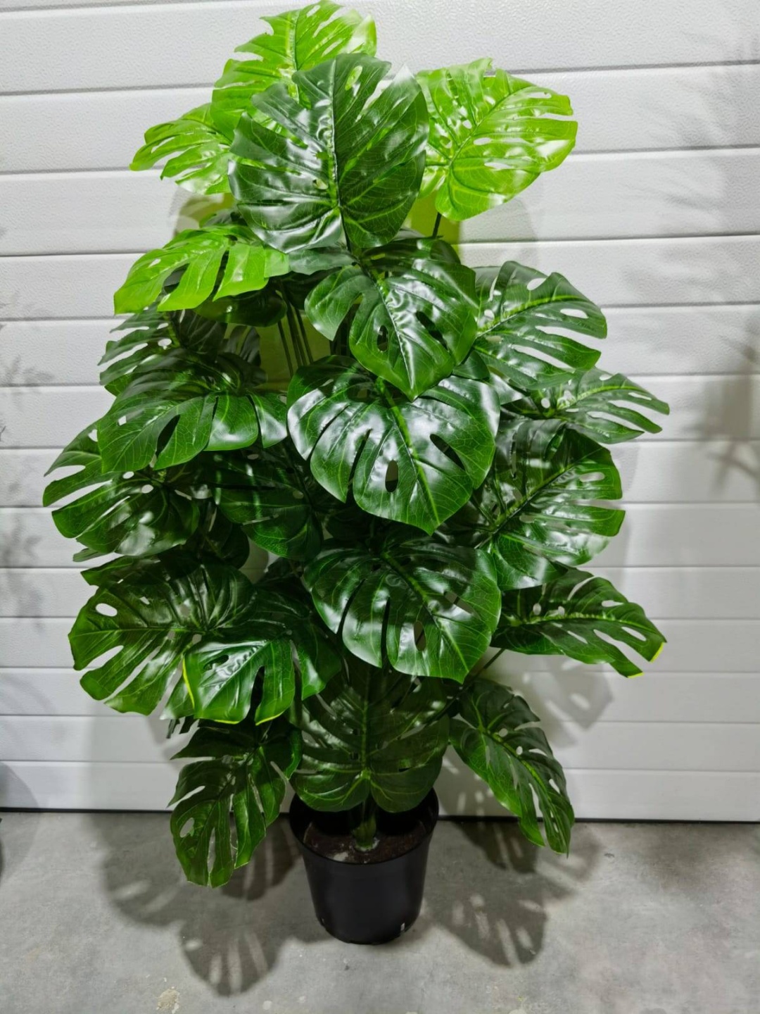 Фото 6