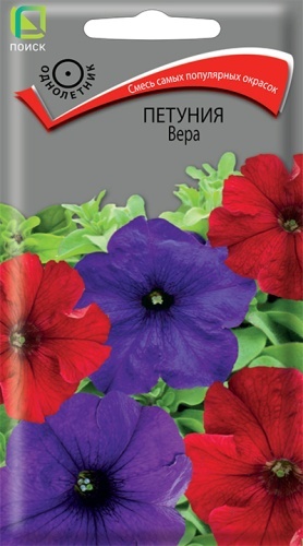 Поиск петуния Вера