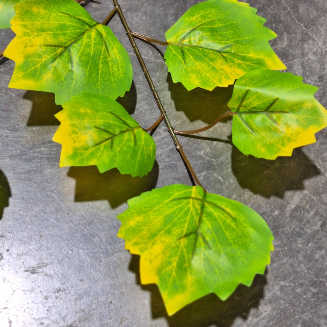 Фото 3