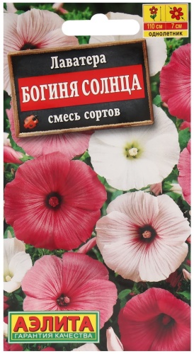 Аэлита Агро лаватера Богиня солнца