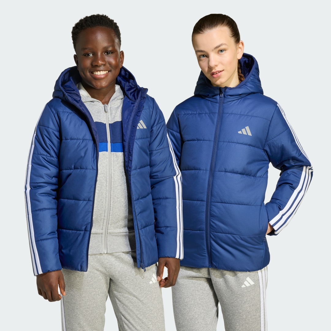 Демисезонная куртка adidas синий