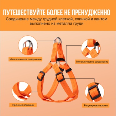 Шлейка с поводком для прогулки S оранжевый