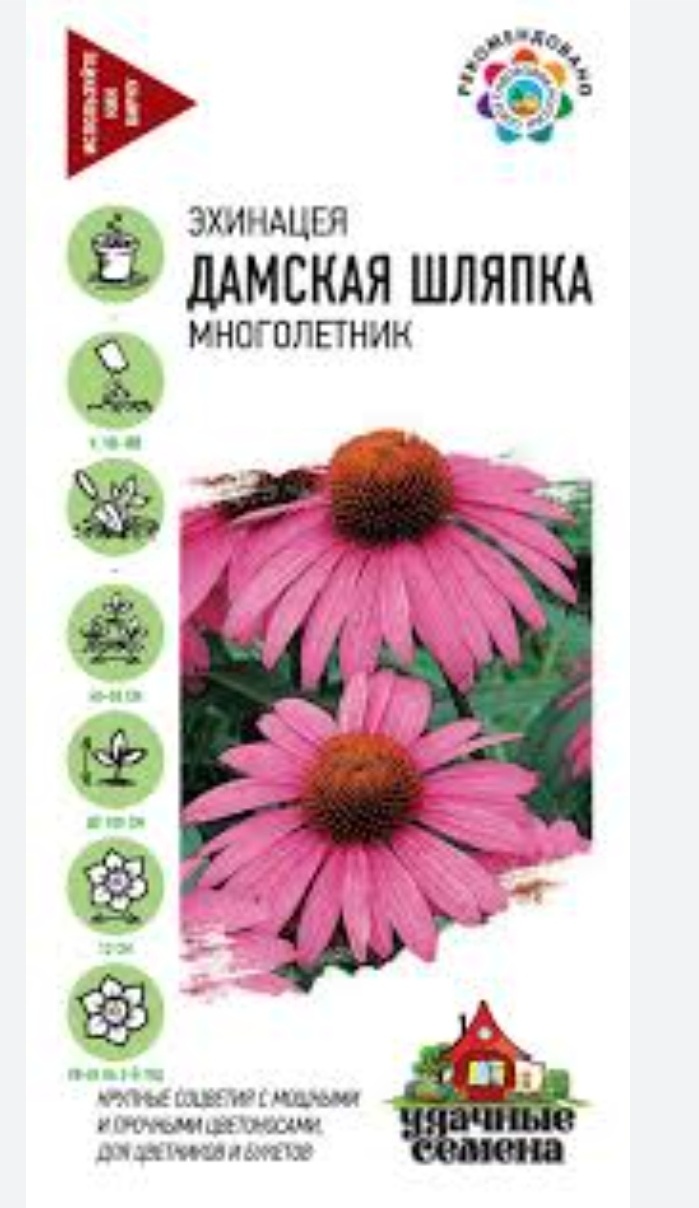Удачные семена эхинацея Дамская шляпка
