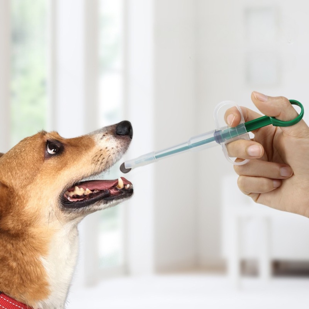 Фото 8