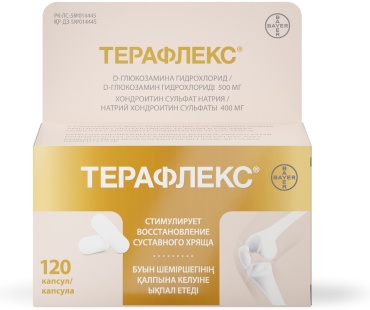 Терафлекс. капсулы 500 мг 120 шт