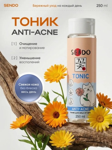 Parli Cosmetics тоник Тоник для лица от акне Anti-acne Face Tonic 250 мл 250 мл