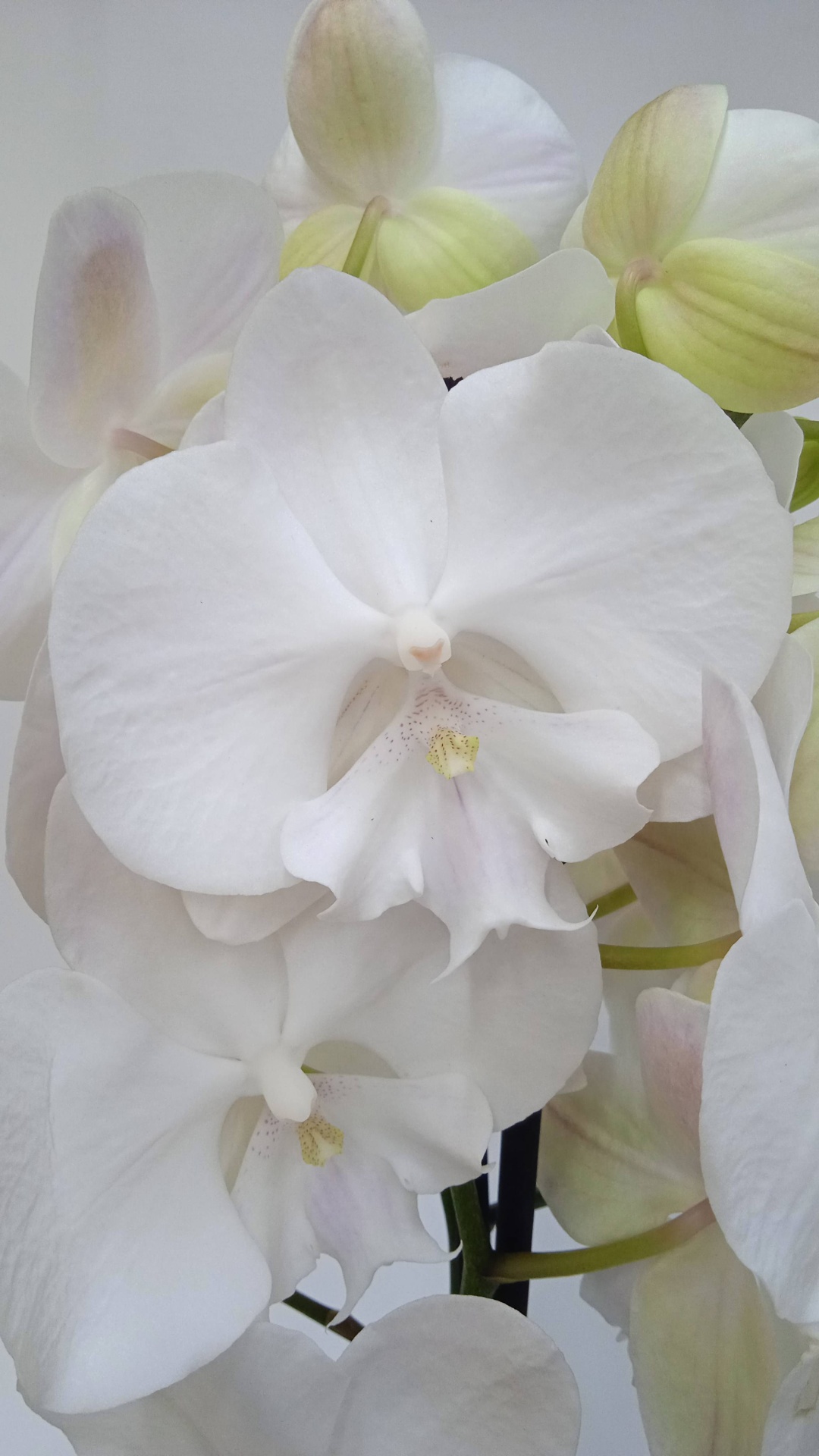Фото 2