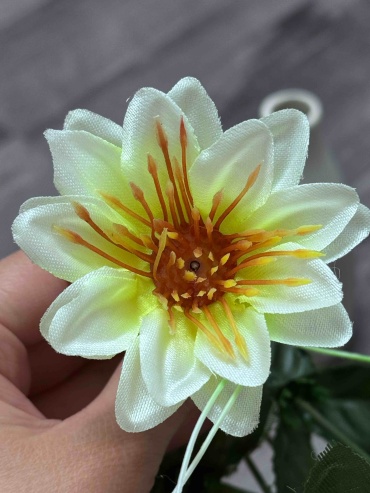 Фото 3