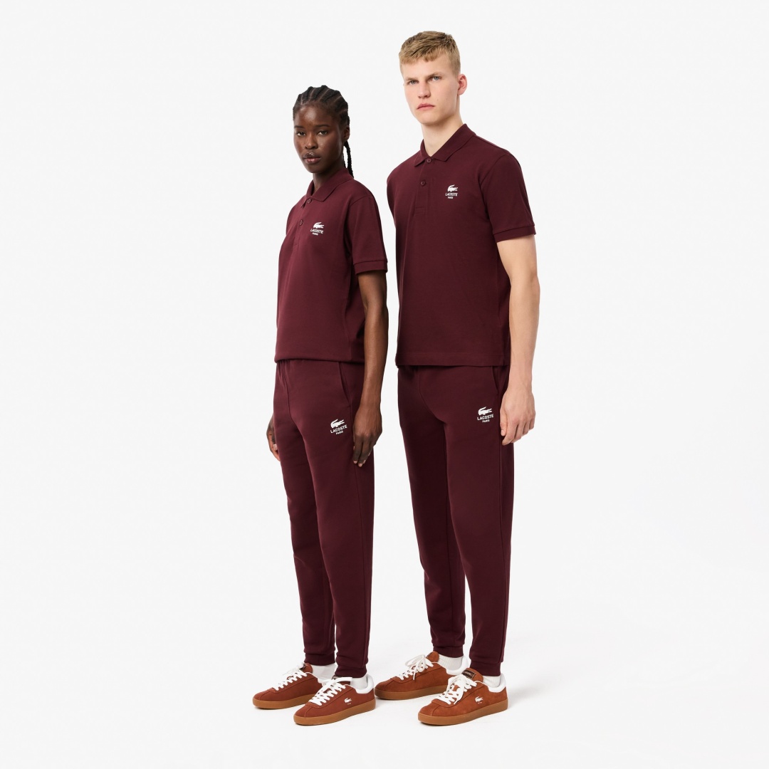 Спортивные брюки LACOSTE мультиколор