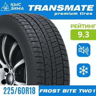 TRANSMATE FROST BITE TW01 225/60 R18 100 T без шипов