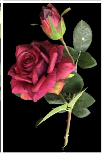 Фото 2