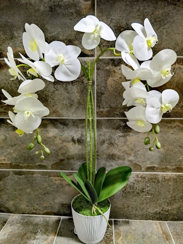 Фото 3