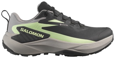Кроссовки Salomon Genesis GTX черный