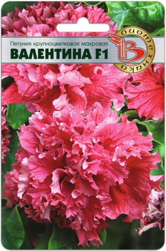Биотехника петуния крупноцветковая махровая Валентина F1