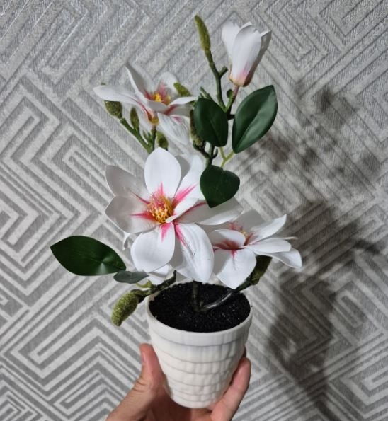 Фото 4