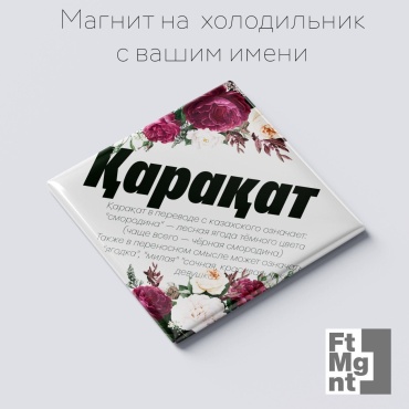 FtMgnt магнит-сувенир Қарақат 1 шт