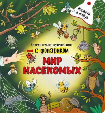 Коллектив авторов: Книжка с фонариком "МИР НАСЕКОМЫХ"