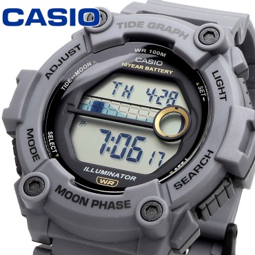 Кварцевые CASIO Casio WS-1300H-8AVDF полимерный пластик