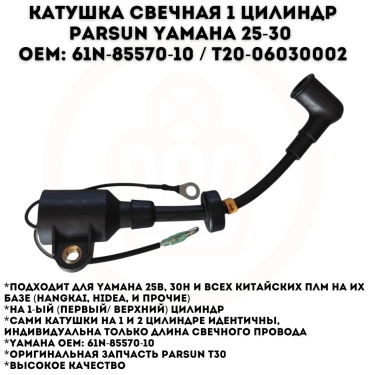 Свечная катушка Parsun T20-06030002