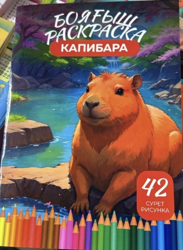 Раскраска 42 картинки капибара