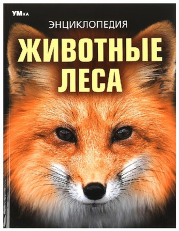 Бородочева И.: Животные леса
