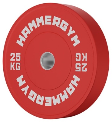 HAMMERGYM OK2006-2 25 кг