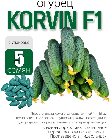 Голландские семена огурец Korvin F1