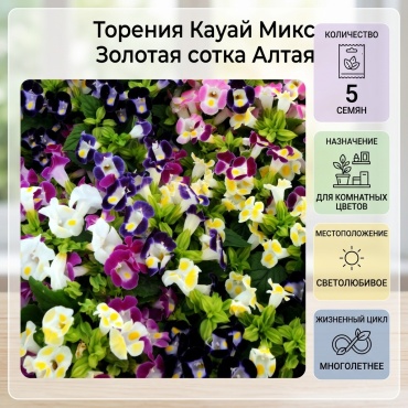Золотая сотка Алтая торения Кауай Микс