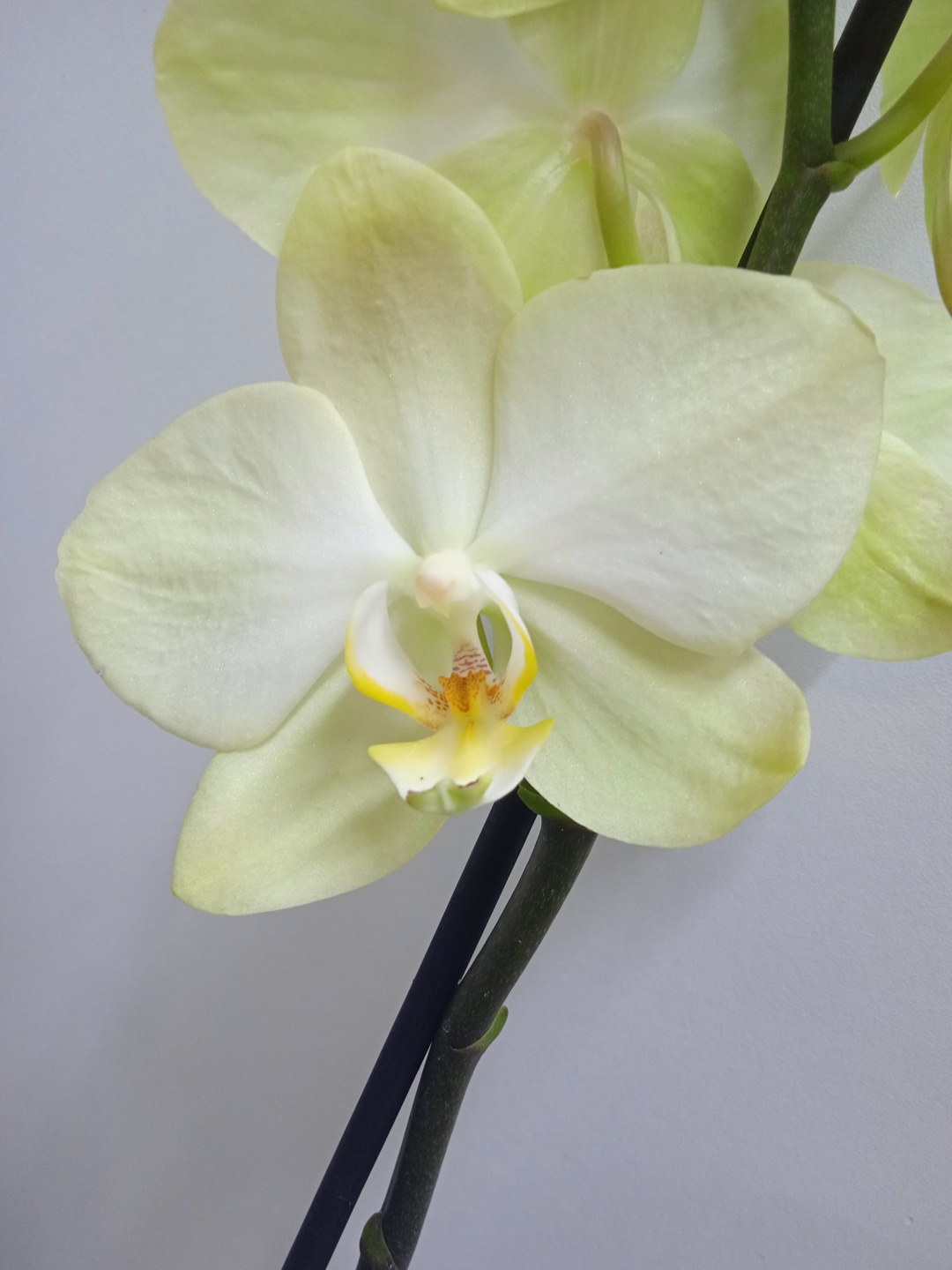 Фото 2