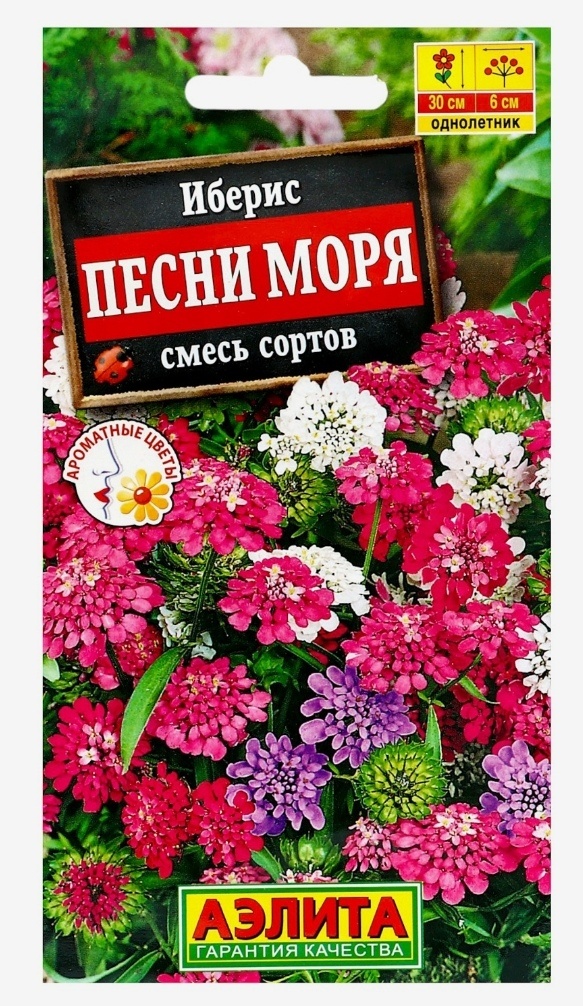 Аэлита иберис Песни моря