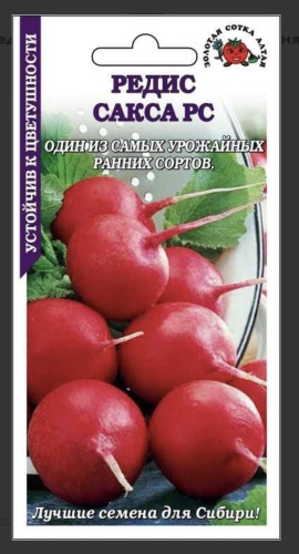 Золотая сотка Алтая редис САКСА РС