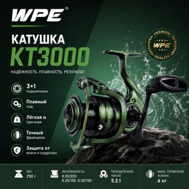 W.P.E безынерционная WPE.KT3000