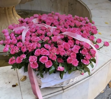 101 Rose композиция с открыткой кустовая роза 25 шт 50 см