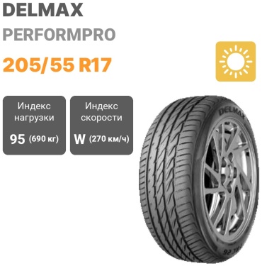 Delmax PerformPro 205/55 R17 95W