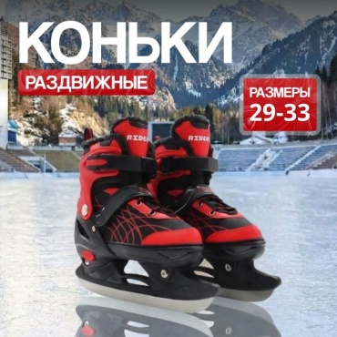Nanzo NZ-MR1 прогулочные черный, красный