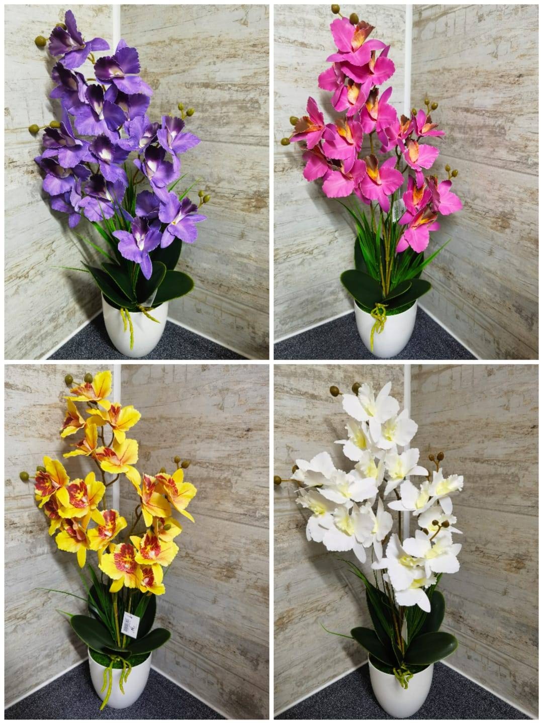 Фото 3