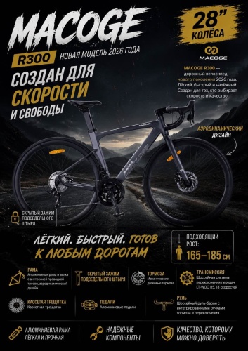 Велосипед AmiVi AV Macoge R300 2025 20 дюймов серый