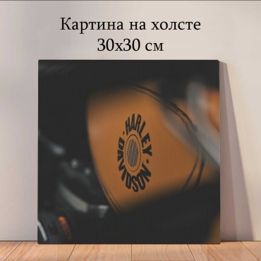 Quantum картина транспорт_xjq 30x30 см