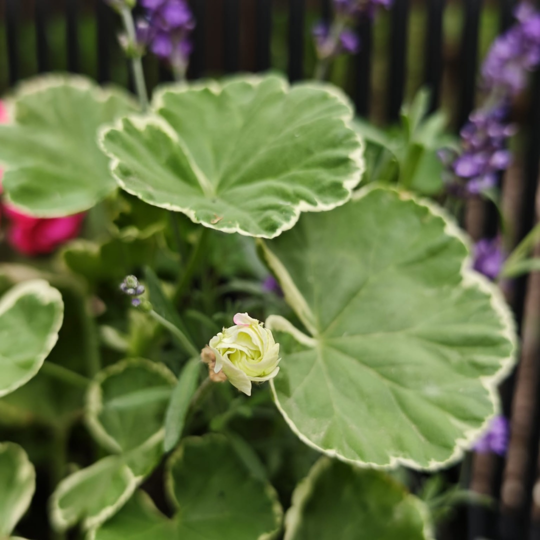 Фото 3