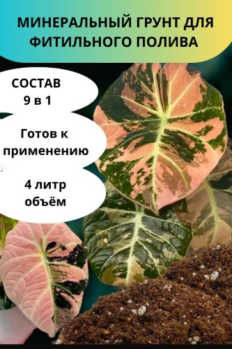 Фото 3