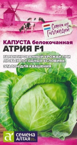 Семена Алтая капуста белокочанная Атрия F1